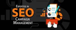 expertise in seo campaign management 16