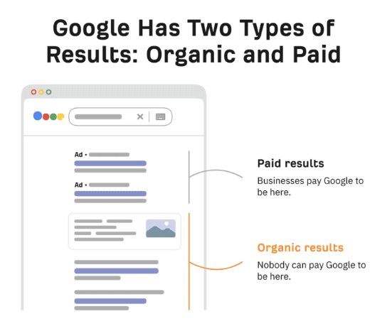 paid and organic Google results