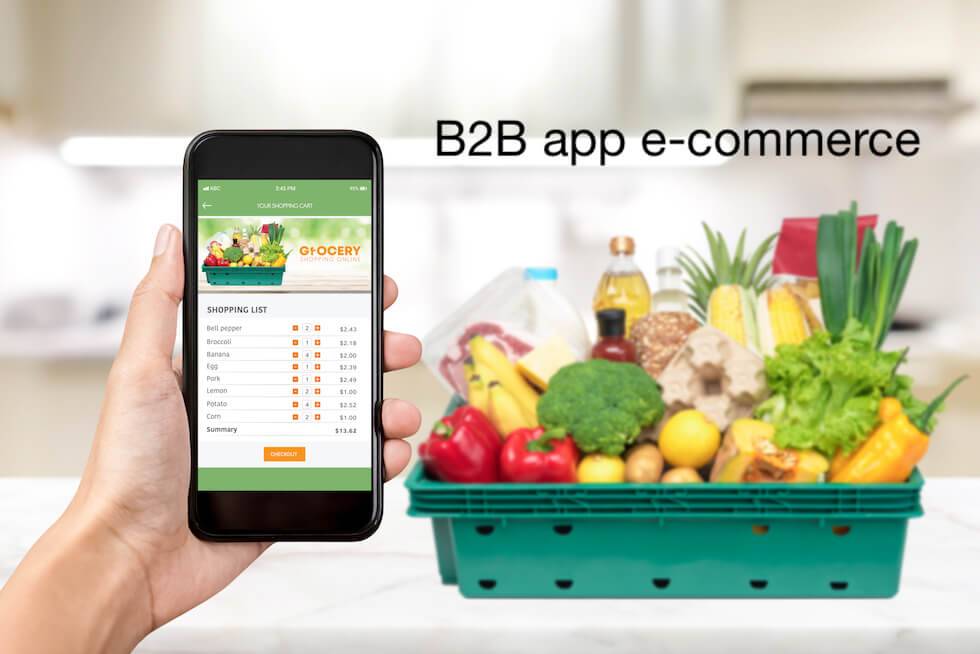B2B app ecommerce